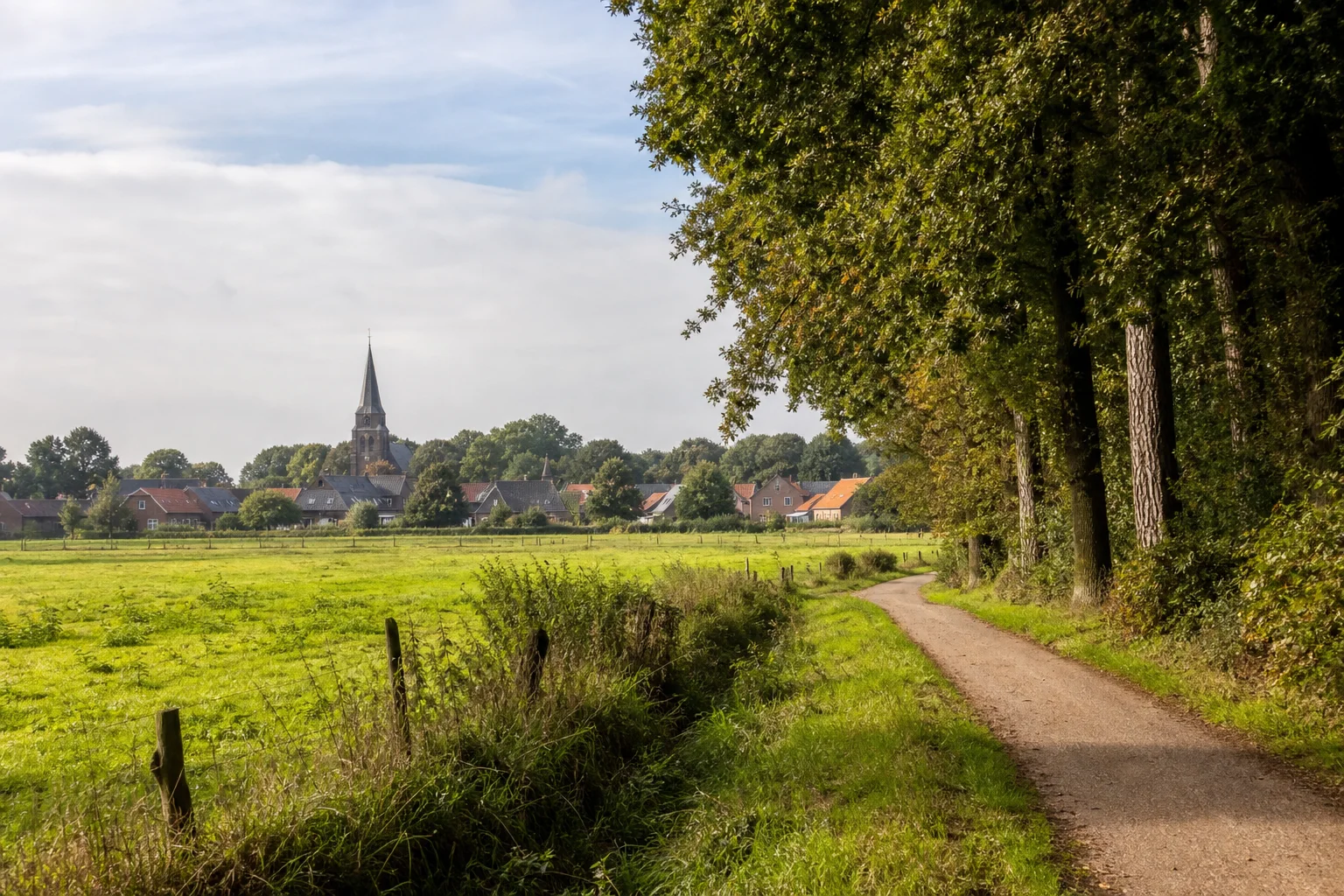 Dorpsomgeving en groen in Bergeijk
