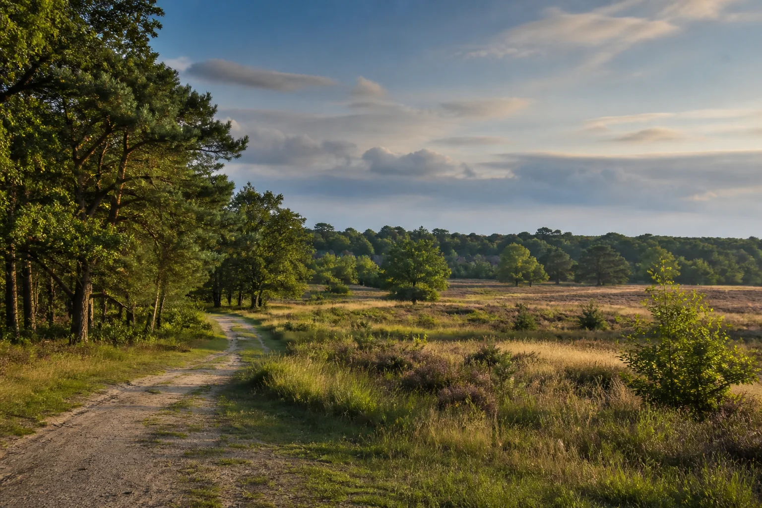 Dorpslandschap met woningen en groen rond Leende