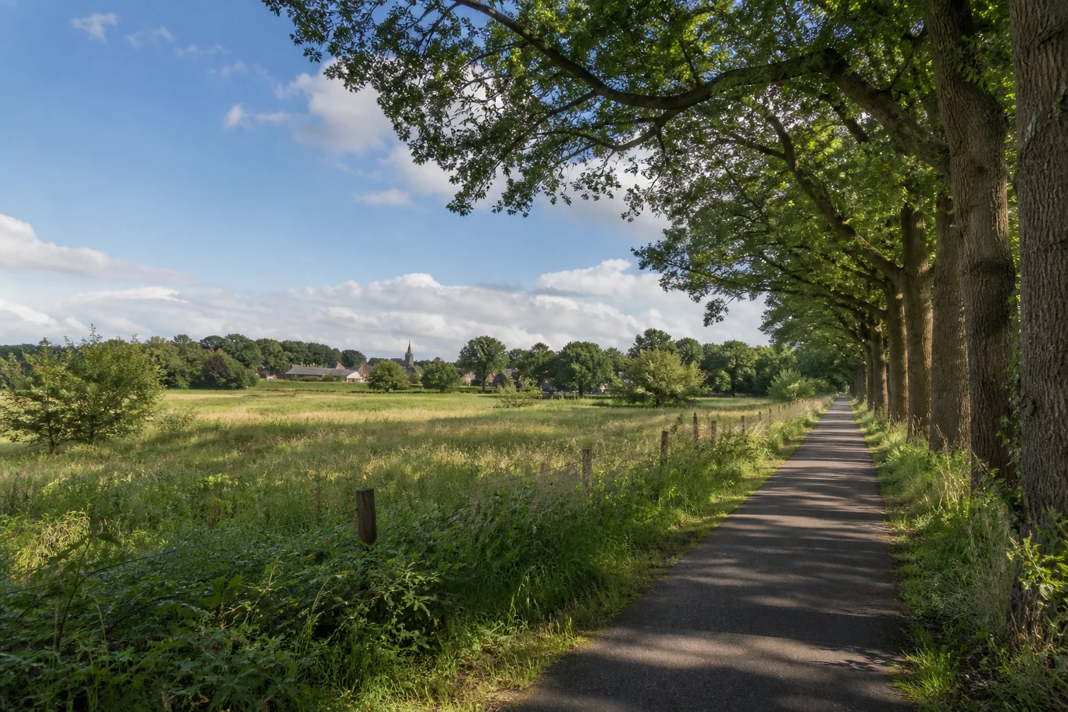 Dorpslandschap en groene rand van Luyksgestel