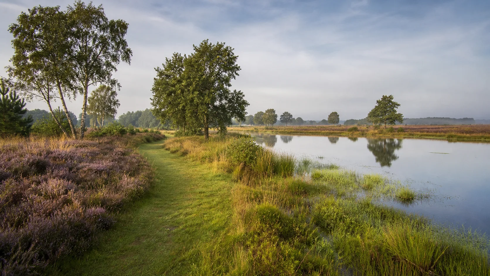Huis laten taxeren in Someren | NWWI-taxatie | €599 all-in 3 Landschap van de Groote Peel bij Someren