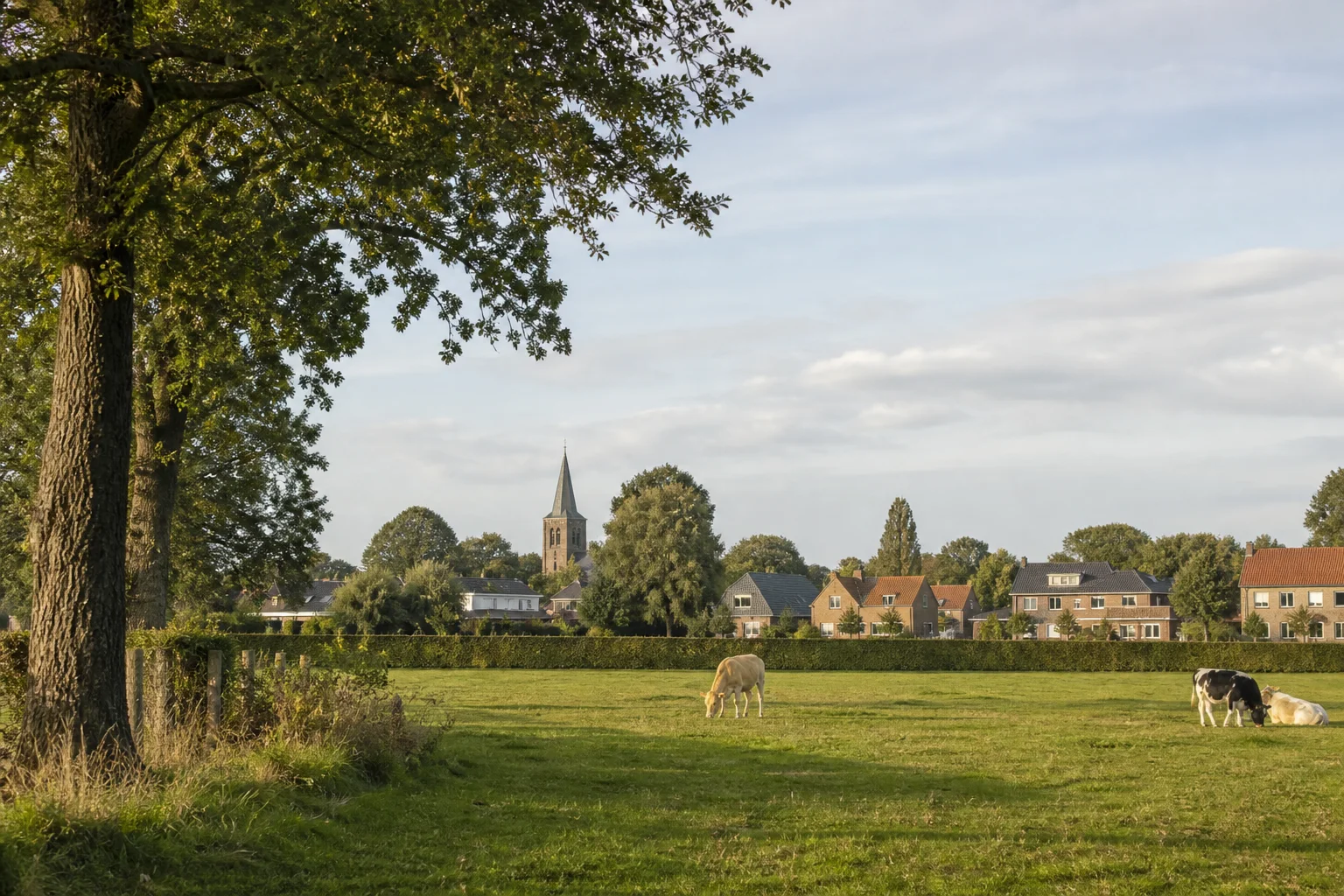 Huis laten taxeren in Sterksel | NWWI | €599 all-in 3 Groen dorpslandschap rond Sterksel