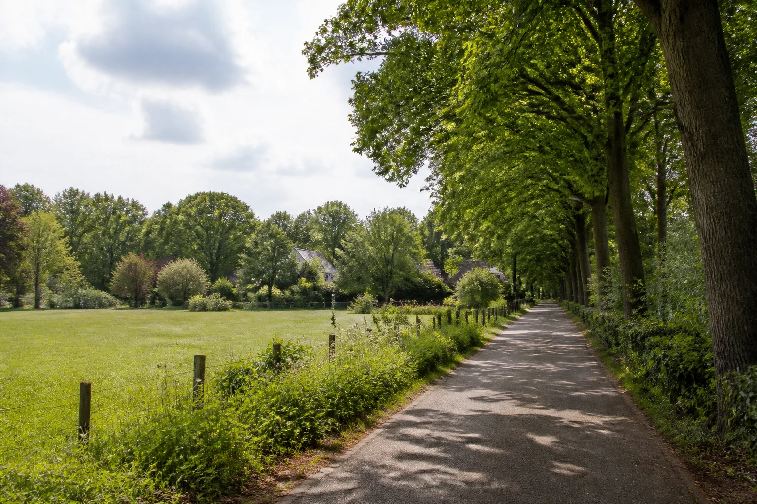 Dorpsstraat en groen in Waalre